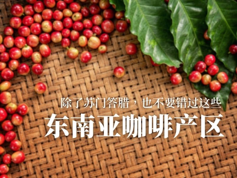 除了苏门答腊，也不要错过这些东南亚咖啡产区