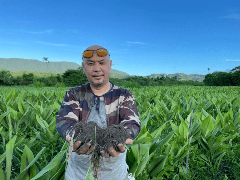 Siva Organic Life: High-Quality Turmeric from Hualien, Taiwan