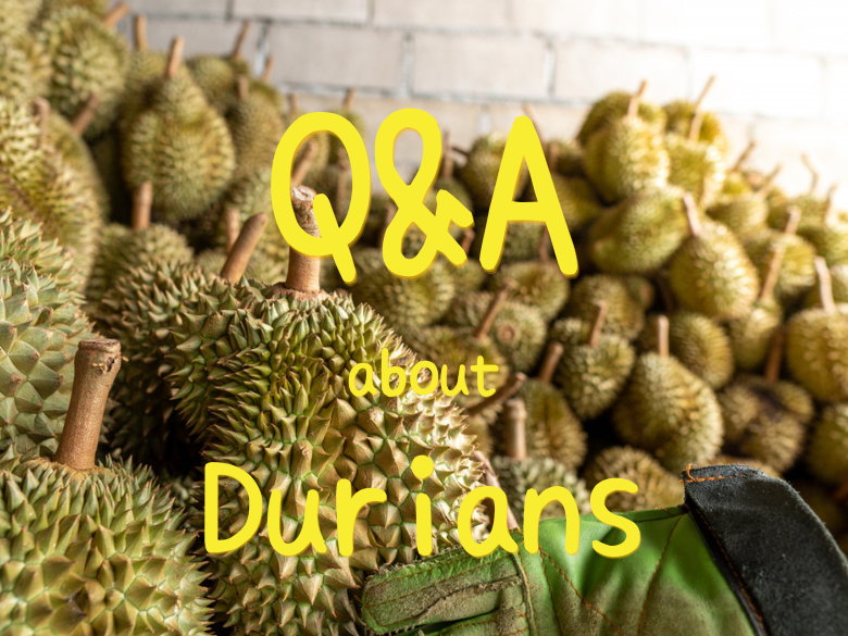 Why Do People Love This Stinky Fruit? 5 Most Common FAQ for Durians