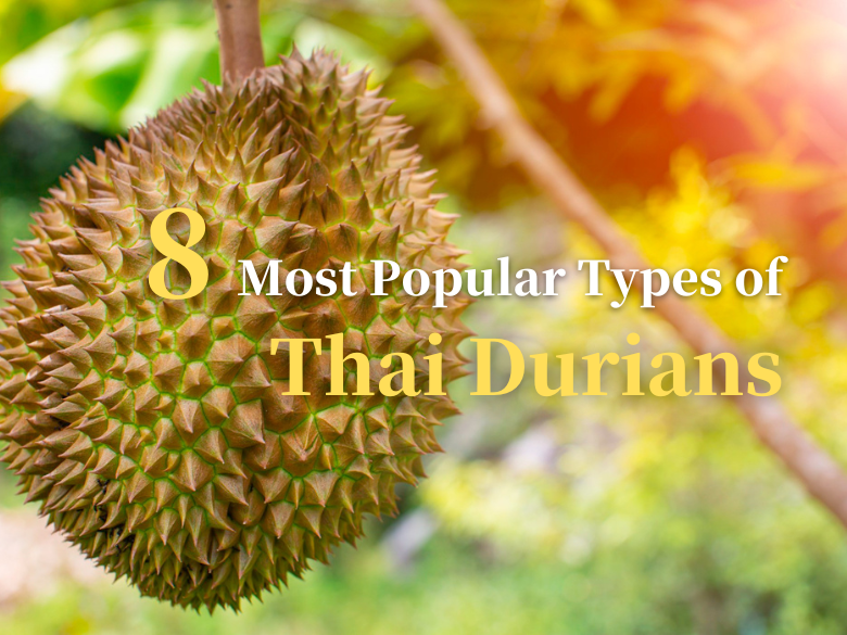 8 Most Popular Types of Thai Durians